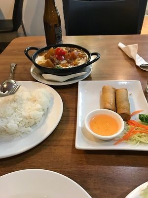 spring rolls and massaman curry at Sunflower Thai Vegetarian Restaurant in Auckland