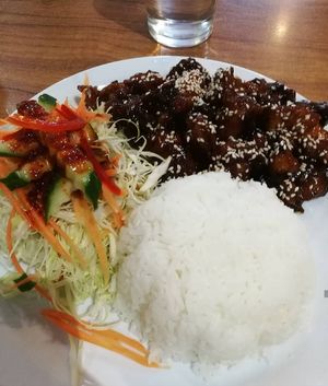 "pork" with rice at Sunflower Thai Vegetarian Restaurant in Auckland