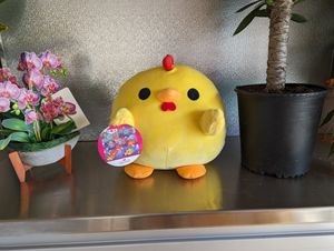 Chicky at Silantra Asian Street Kitchen in Camp Hill