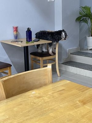   at Lẩu Chay OMORI in Ho Chi Minh City