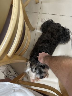   at Lẩu Chay OMORI in Ho Chi Minh City