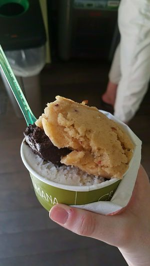 medium cup of apples and cinnamon, dark chocolate, and banana sorbet flavors. costs 5 euro at Cremeria Romana in Rome