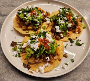 Tostada at Fancy Plants - Food Truck in Ellsworth