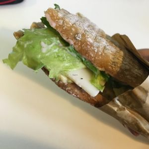 Mr Pink at Plants By Us in Helsinki