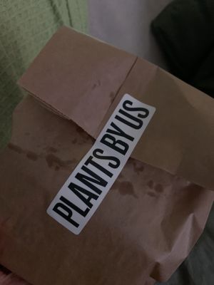   at Plants By Us in Helsinki