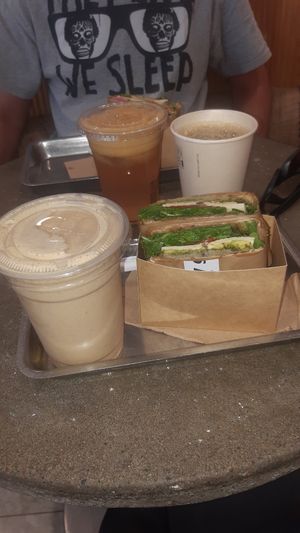  at Plants By Us in Helsinki