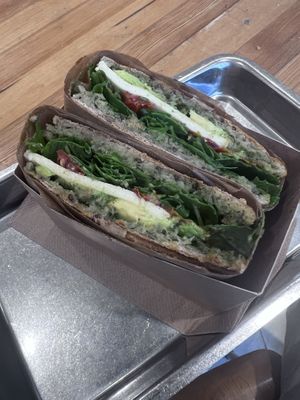   at Plants By Us in Helsinki