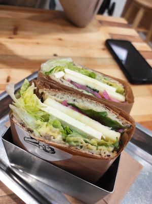 Maple AF at Plants By Us in Helsinki