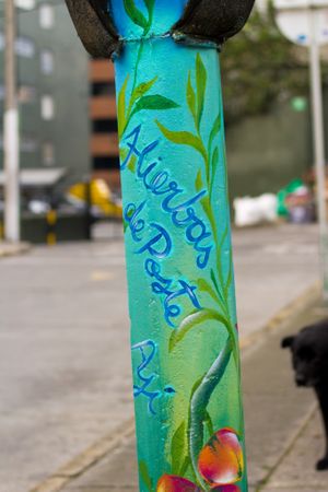 
Colombian flavors and knowledge at Naturalmente in Bogota