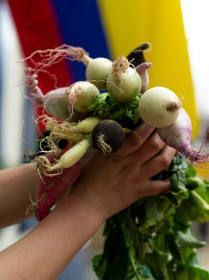 many colors and flavors in our ingredients at Naturalmente in Bogota