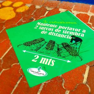 
please stay two planting rows away at Naturalmente in Bogota