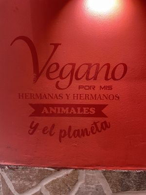 Vegan for my animal brothers and sisters and the planet   at Naturalmente in Bogota