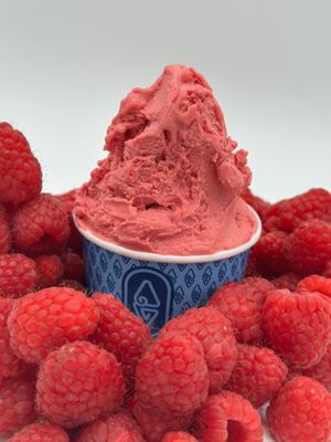 Raspberry  at Pampas Helados Argentinos in Aliso Viejo