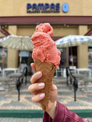 Strawberry at Pampas Helados Argentinos in Aliso Viejo