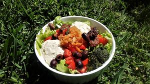 Fermented foods salad at The Glowing Gourmet in San Pablo La Laguna