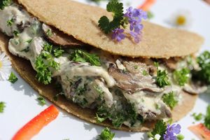 Pancake with creamy mushroom filling at The Glowing Gourmet in San Pablo La Laguna