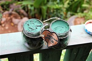 fresh spirulina at The Glowing Gourmet in San Pablo La Laguna