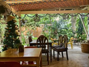 The environment is super cosy, quiet, and chill, well away from the hectic roads in a cute garden setting at Mister Saigon in Dumaguete