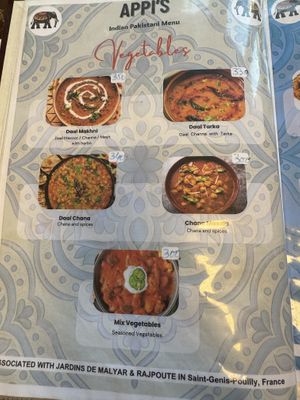 Vegetarian indian/pakistani menu  at Nazilli Pide & Appi's Indian-Pakistani Restaurant in Fethiye