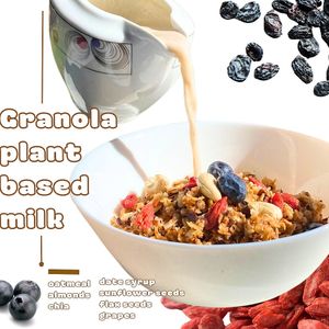 Oats, almonds, chia seeds, date syrup, sunflower seeds, flax seeds, raisins. at Sisu Kitchen %100 Vegan in Antalya