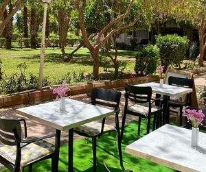 With a beautiful greenery view, we would be delighted to welcome you with our 100% vegan dishes.
 at Sisu Kitchen %100 Vegan in Antalya