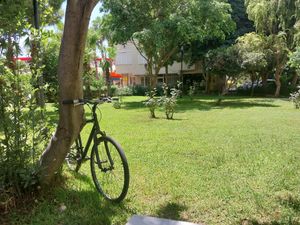  at Sisu Kitchen %100 Vegan in Antalya