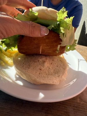   at PAPILLON  in Tenerife