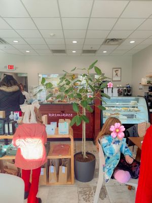 24.11.30 at Little Cat x Three Bites in Columbus