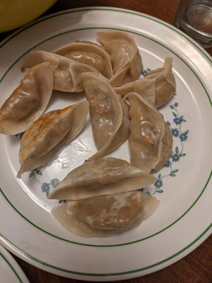 Potstickers at It's All Natural in Columbus