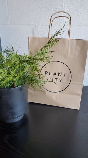  at Plant City in Barrington