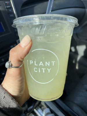 Cucumber lemonade is amazing  at Plant City in Barrington