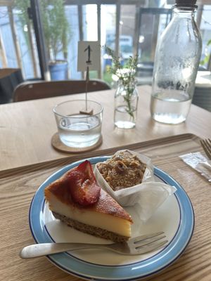   at Folksaka in Osaka