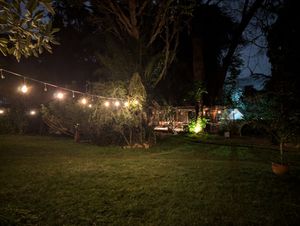 Garden at NOIR in Nairobi
