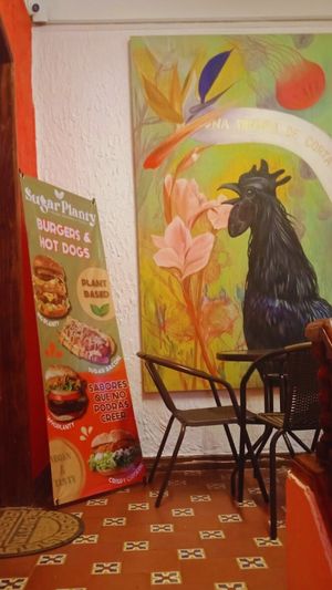 Variedad de hamburguesas veganas. Ambiente ideal para convivir con amigos. at Sugar Planty in Mexico City