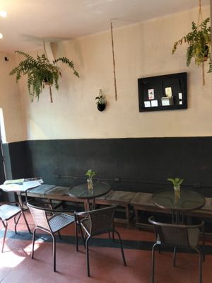  at Sugar Planty in Mexico City