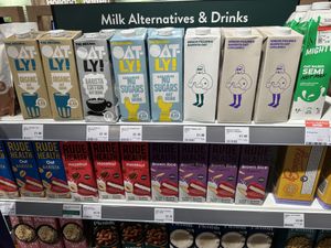 Plant milk  at Holland & Barrett - Ealing Central  in London