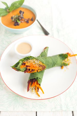 yin yang roll at Om Prana in Quebec