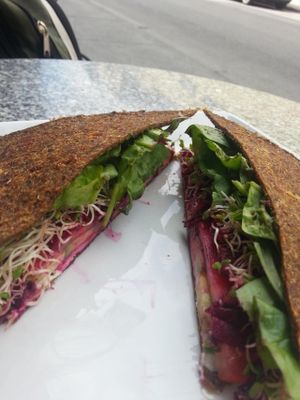 Le yogini at Om Prana in Quebec