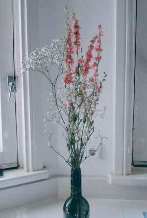 From Fiore to my home (2) 😁 at Fiore Utrecht in Utrecht