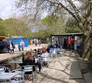  at The Vegan Chocolate Teapot @ Barby Keel Animal Sanctuary in Bexhill-on-sea