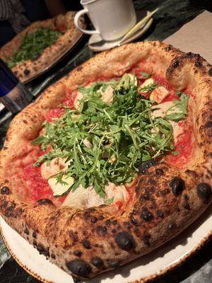 Green Mamba  at 60 Seconds to Napoli  in Aachen