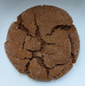 Ginger Molasses Cookie at Jen's Pastries in Portland
