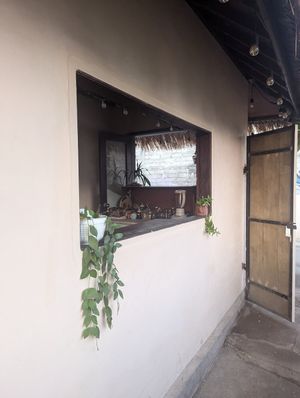 Out back at Los Gili in 