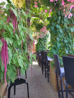 Lovely lush place at Restaurang Vardagslyx i Örnsköldsvik in Oernskoeldsvik