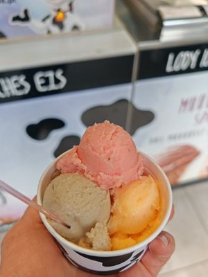 Vegan sorbet ice cream. at Lodziarnia in Swinoujscie