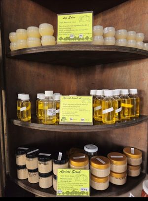 Apricot oils and balms at Dzomsa in Leh