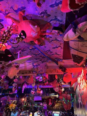 Vibes   at Happy Fish at The Dog House in Edinburgh