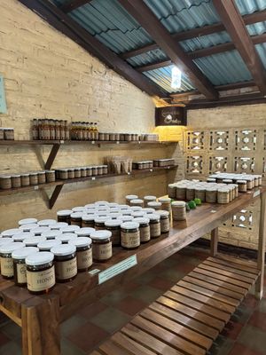   at Cafe Campestre in Ometepe