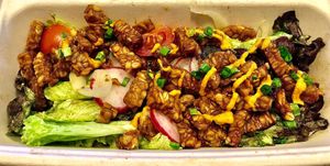 Crispy tempeh with farms greens  at Wandr in Dubai