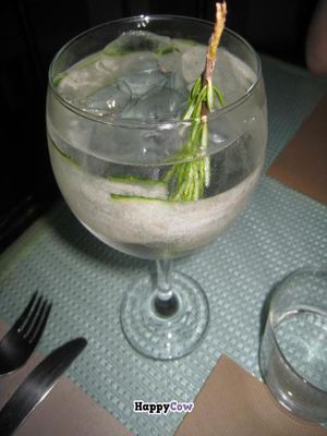 Cucumber & rosemary gin and tonic at Sesamo in Barcelona